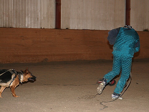 Training in Estonia 3/2007